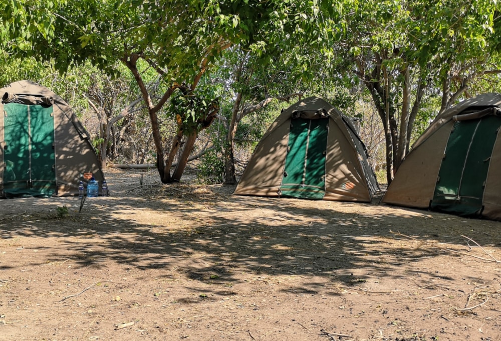 Wild Zelten auf der Elephant Bone Insel